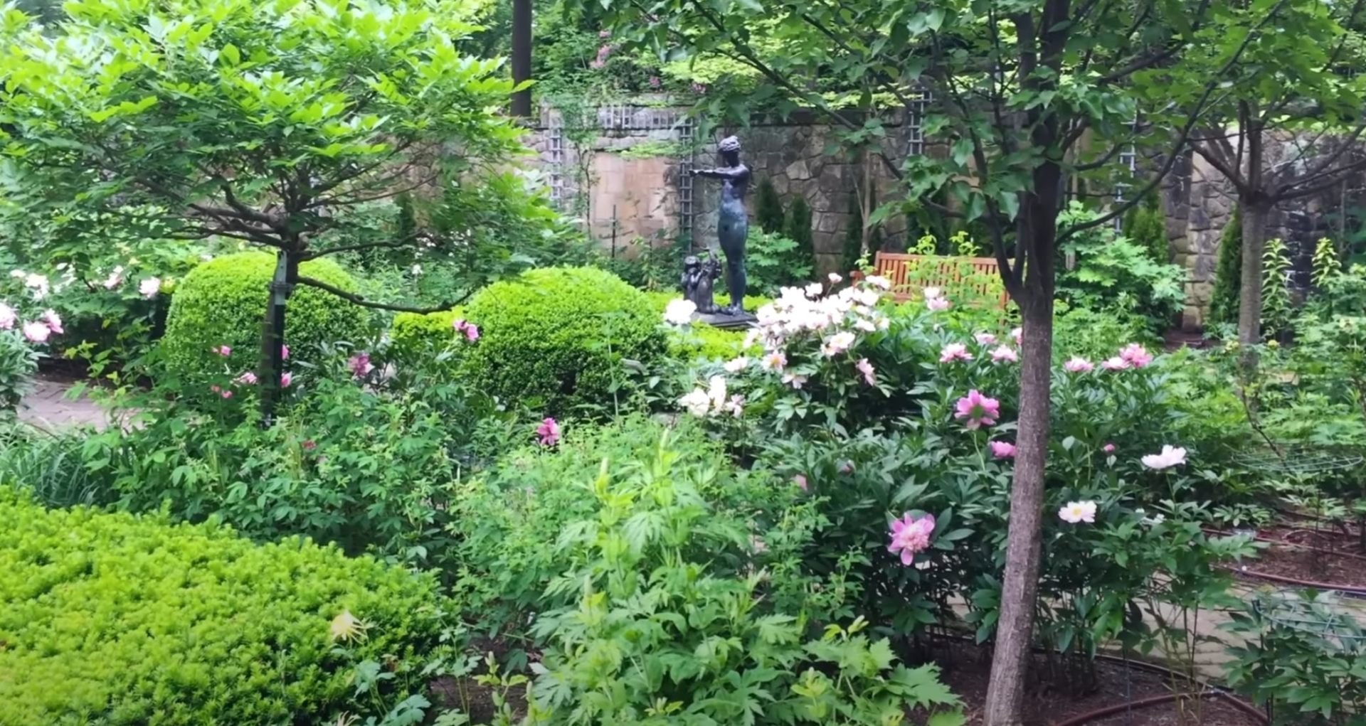 Mature garden with blooming flowers, ornamental shrubs, and stone water feature