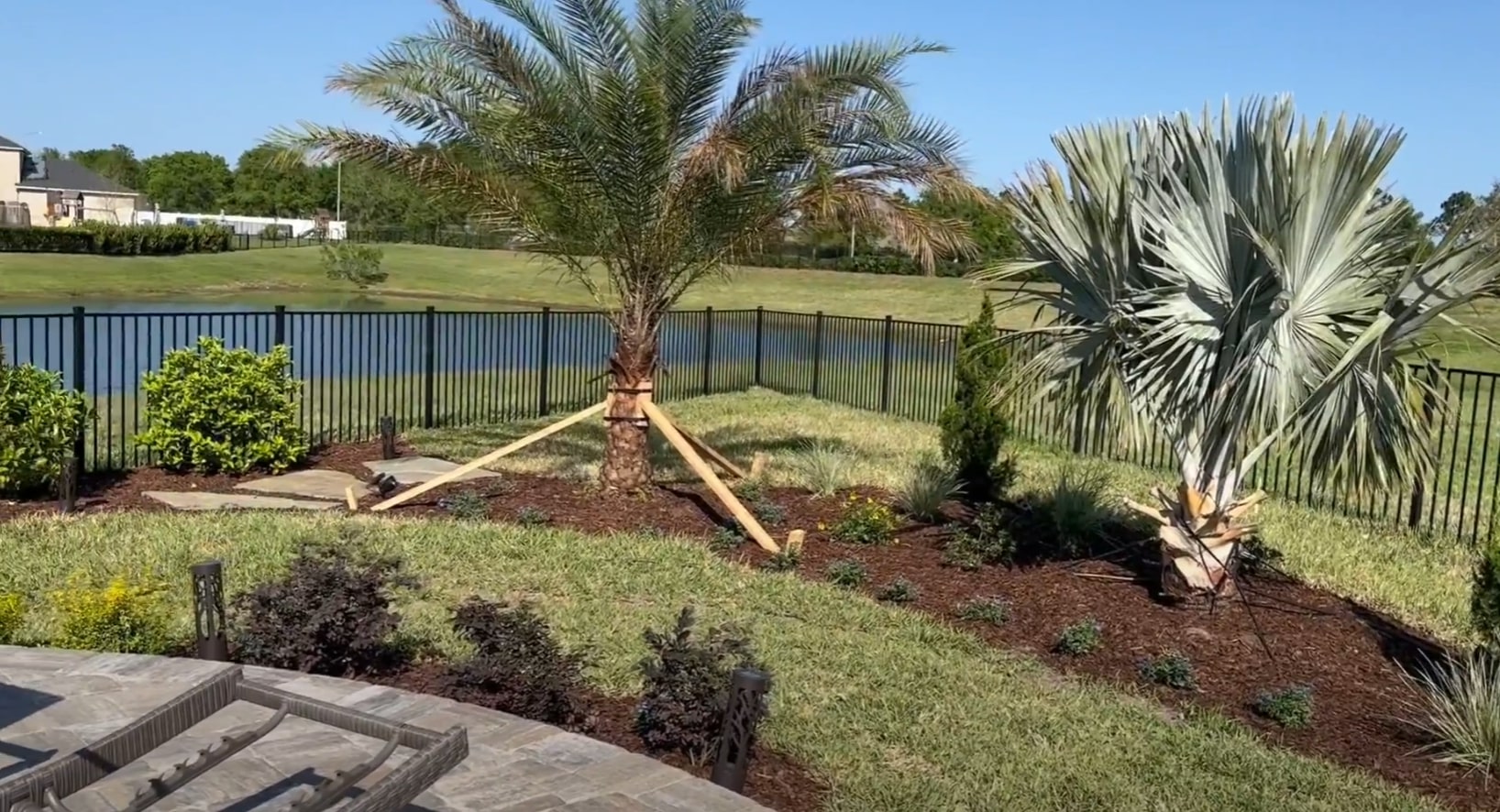 Professional landscaping with palm trees