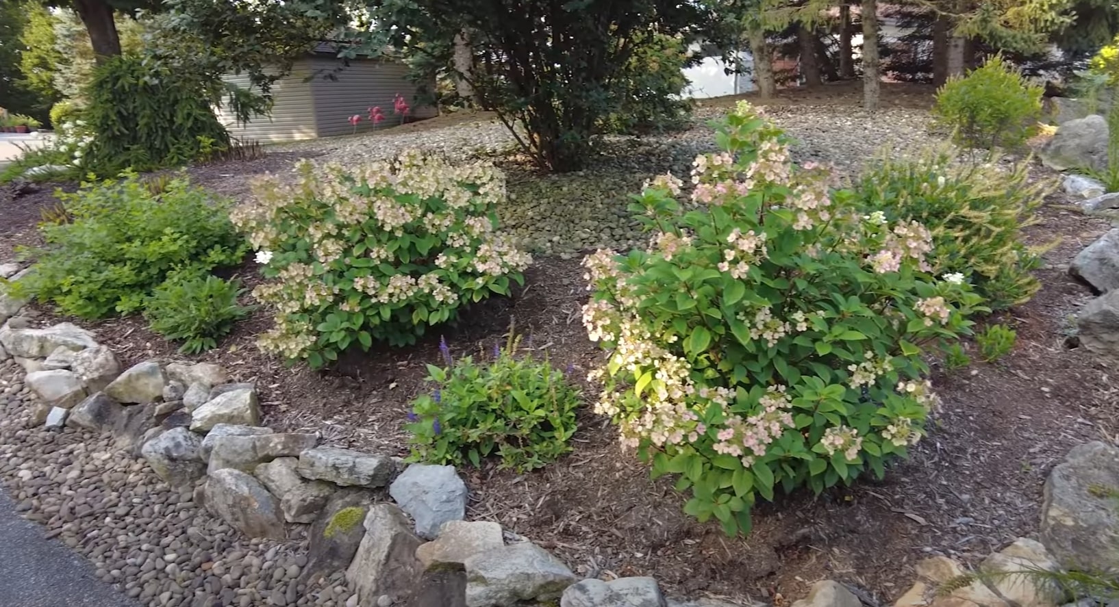 Professional landscape maintenance with flowering shrubs and stone borders